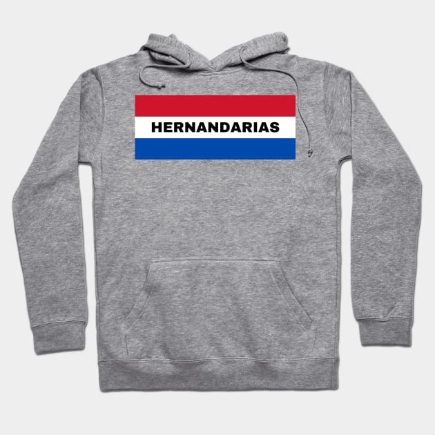 Hernandarias City in Paraguay Flag Hoodie by aybe7elf